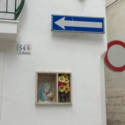 Img 8492